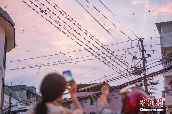 图片默认标题_fororder_yan3