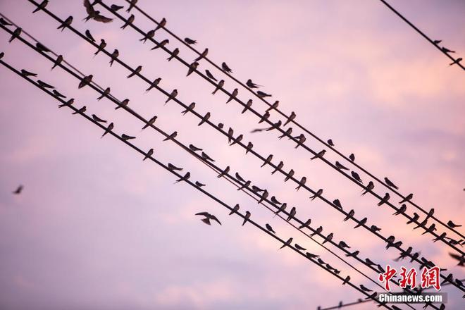 图片默认标题_fororder_yan