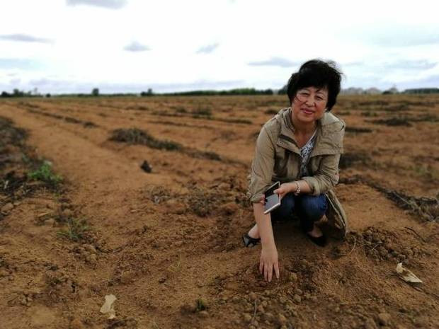 【中国梦·践行者】4000公里的别样迁徙：黑龙江农民南下广东冬种土豆，一年脱贫