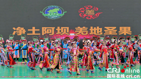 图片默认标题_fororder_2、开幕式现场精彩的文艺表演--摄影-李里