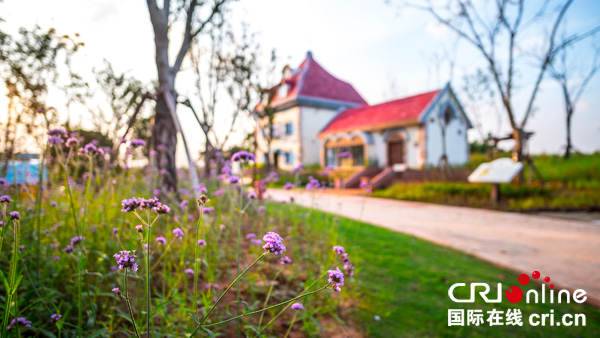 图片默认标题_fororder_WechatIMG13