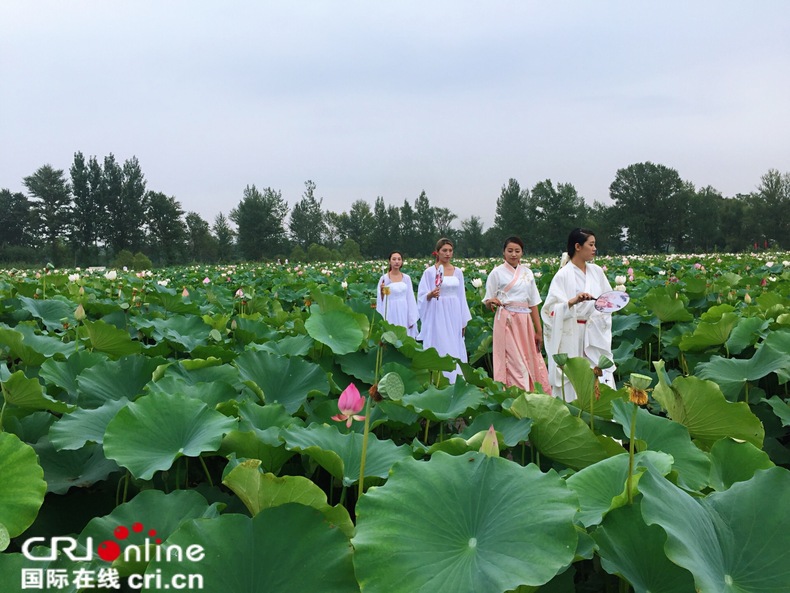 盘锦第九届荷花旅游文化节启幕