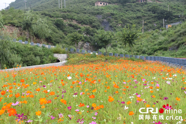 图片默认标题 图片默认标题_fororder_881981543267856428