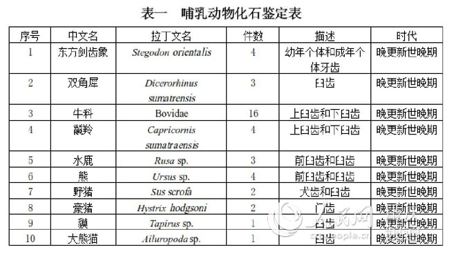 圖片默認(rèn)標(biāo)題_fororder_LOCAL201808131220000535942461807