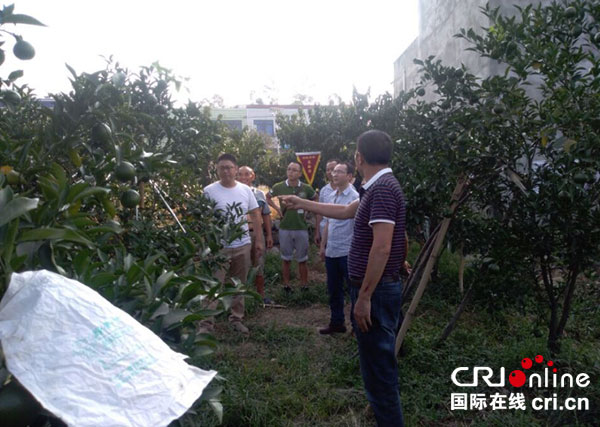 图片默认标题_fororder_1