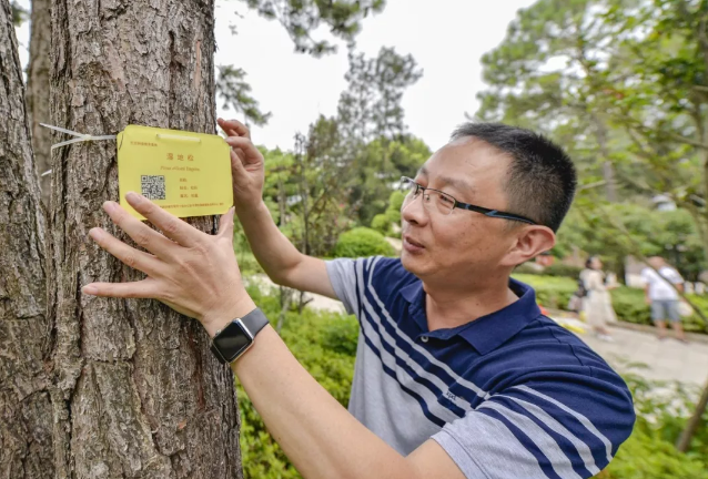 平潭对公园树木、花木悬挂“身份牌” 提升市民绿化知识