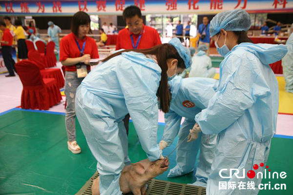 图片默认标题_fororder_竞赛现场