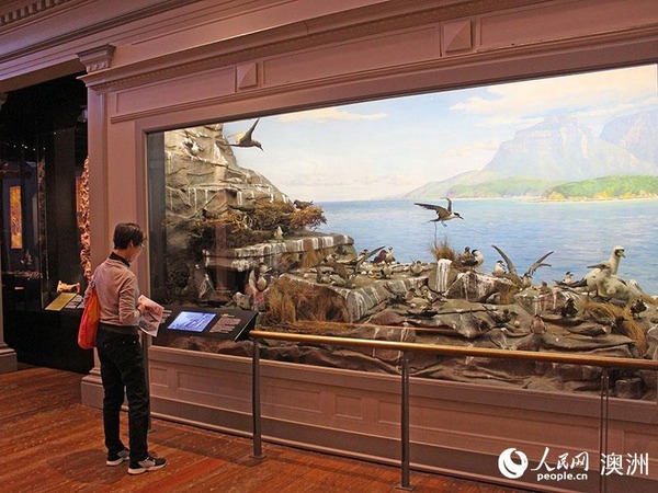 游客根据电子讲解欣赏展品(摄影 阴袁扬洋)