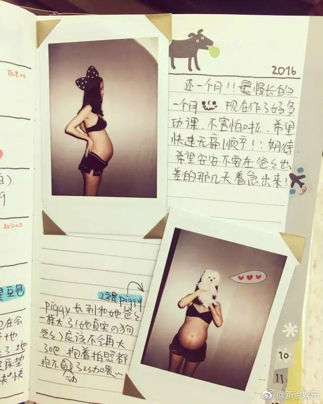 张子萱怀孕日记全是错别字 又被网友给骂晕了