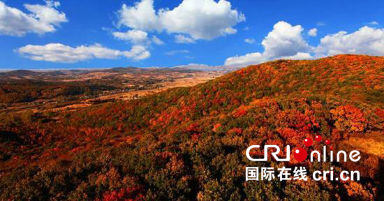 06【吉林】【原创】【CRI看吉林(标题)】【关东黑土(长春)】【移动版(图)】长春莲花山乡村文化节摄影大赛截稿日期延至8月22日 06【吉林】【原创】【CRI看吉林(标题)】【关东黑土(长春)】【移动版(图)】长春莲花山乡村文化节摄影大赛截稿日期延至8月22日