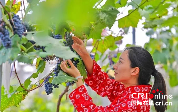 图片默认标题_fororder_1