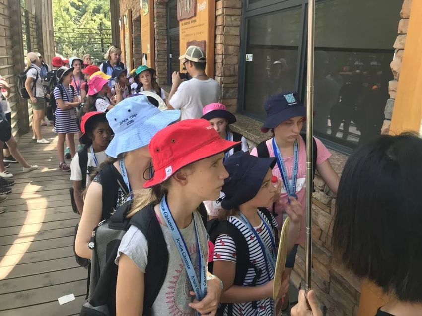 （导航成都，移动端）外国小使者来到“滚滚”故乡 感受天府文化