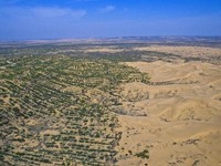 【辉煌宁夏六十年】治沙无问西东 宁夏成全国首个实现沙漠化逆转的省区