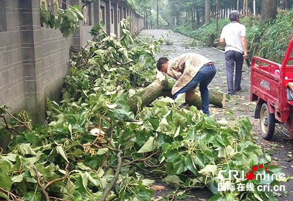 图片默认标题_fororder_1