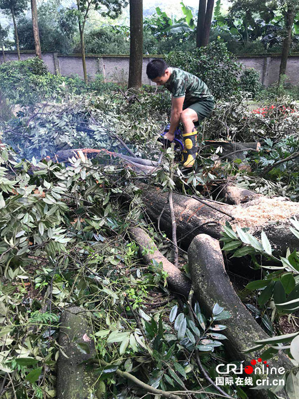 图片默认标题_fororder_2