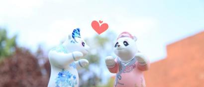 （头条-文字列表，导航成都，移动端）大熊猫 四川走出的“交流使者”