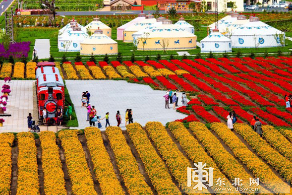 鲜花组成的”航空母舰”黑龙江大美花海