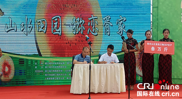 图片默认标题_fororder_与农户签订3万斤猕猴桃订购协议（摄影-杨建昆）