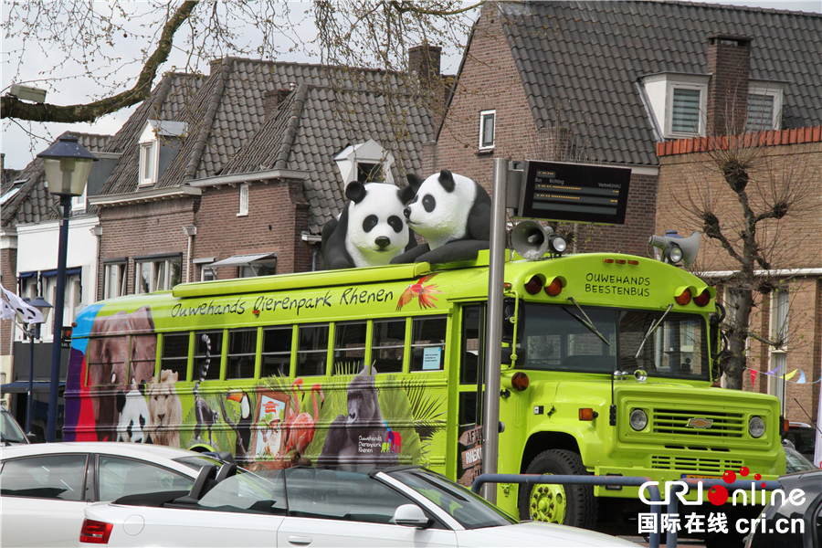 荷兰各界做足功课准备迎接中国大熊猫组图