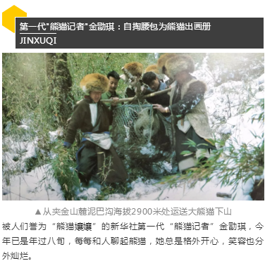 （导航成都）胖哒如何萌得三代“熊猫记者”不畏艰险？顶尖策展人曝出理由