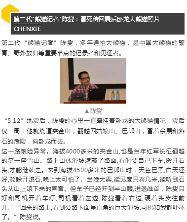 （导航成都）胖哒如何萌得三代“熊猫记者”不畏艰险？顶尖策展人曝出理由