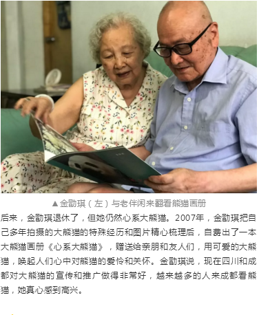 （导航成都）胖哒如何萌得三代“熊猫记者”不畏艰险？顶尖策展人曝出理由