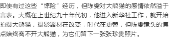 （导航成都）胖哒如何萌得三代“熊猫记者”不畏艰险？顶尖策展人曝出理由