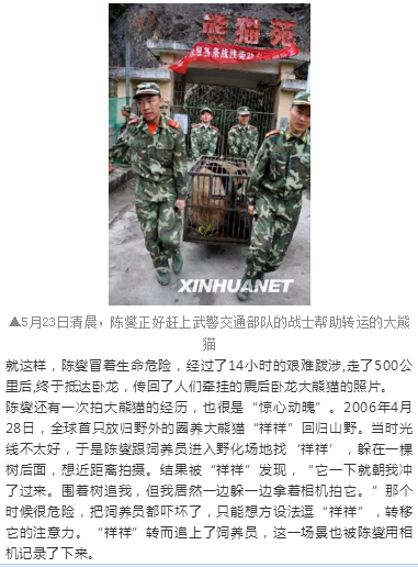 （导航成都）胖哒如何萌得三代“熊猫记者”不畏艰险？顶尖策展人曝出理由