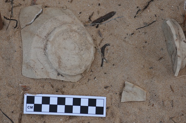 出师大捷 上博考古队在斯里兰卡阿莱皮蒂遗址发现宋代瓷器