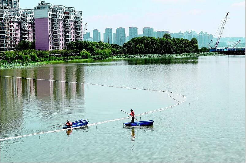 武汉：以水生植物净化南湖水质