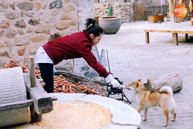 《向往》孙红雷搞怪突袭 何炅黄磊忆有情岁月泪崩