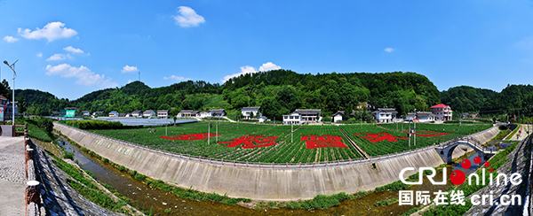 图片默认标题_fororder_多彩曾家山