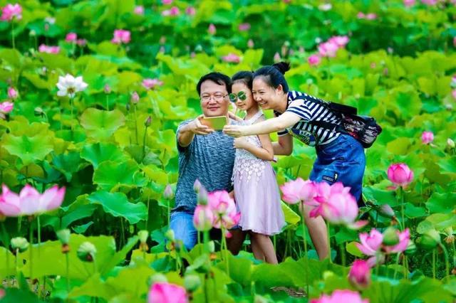 （导航攀枝花，移动端）小平，您好！这是今天的攀枝花