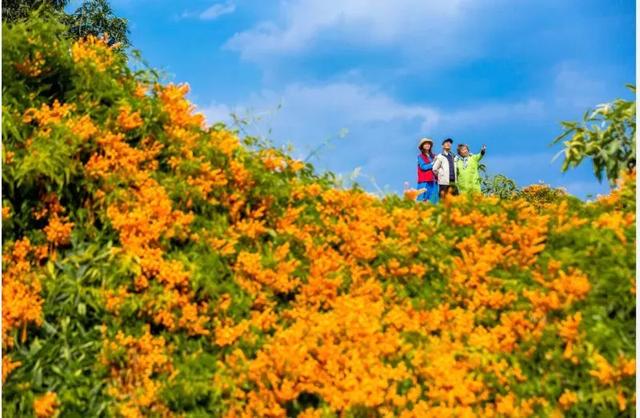 （导航攀枝花，移动端）小平，您好！这是今天的攀枝花