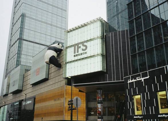 （导航成都，移动端）来成都和“滚滚”偶遇 这些熊猫打卡地标你get到了么？