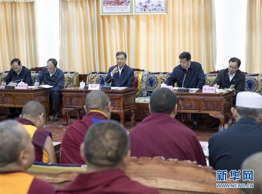汪洋：扎实做好脱贫攻坚和民族宗教工作 促进西藏繁荣发展和长治久安
