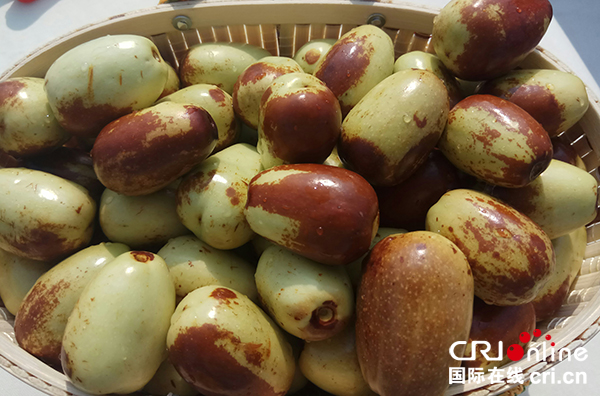 图片默认标题_fororder_可口的贵妃枣（摄影-杨建昆）