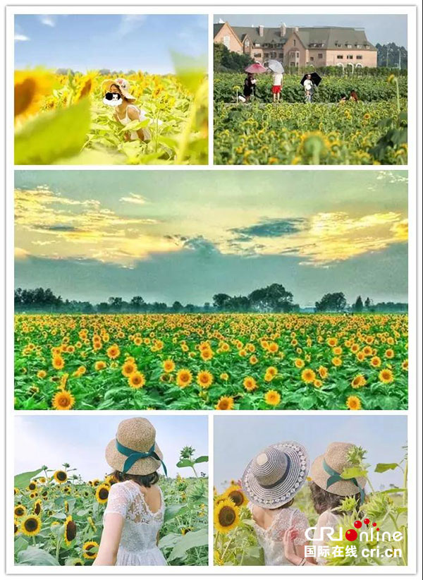 图片默认标题_fororder_2