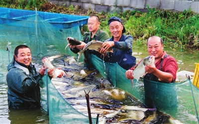 沈阳市辽中区养前村有个丰渔节