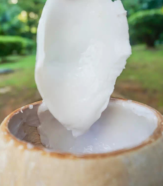 椰子冻 椰皇冻你真的吃过么? 椰子冻 椰皇冻你真的吃过么?