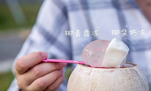 椰子冻 椰皇冻你真的吃过么? 椰子冻 椰皇冻你真的吃过么?