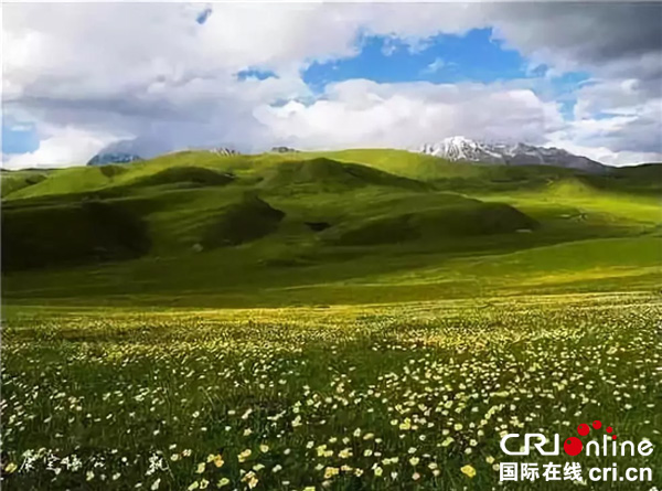 图片默认标题_fororder_塔公草原风光-甘孜州旅游发展委员会-供图