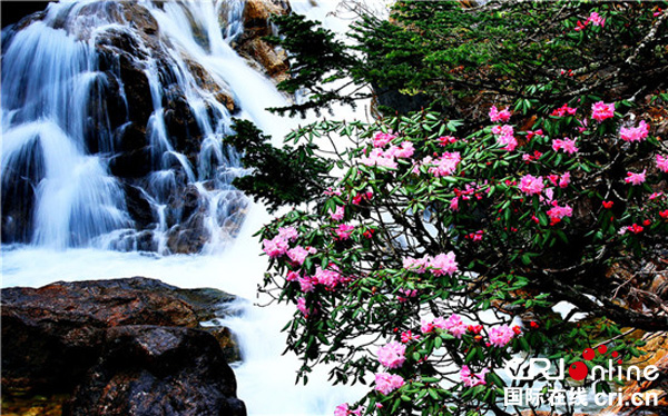 图片默认标题_fororder_康定木格措杜鹃峡-甘孜州旅游发展委员会-供图