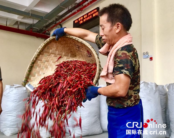 【特色新兴产业看贵州】辣椒界的茅台--虾子
