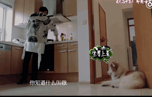 “花少3”背后：娜扎竟是吃货 宋祖儿家比厕所乱