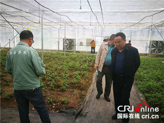 图片默认标题_fororder_2