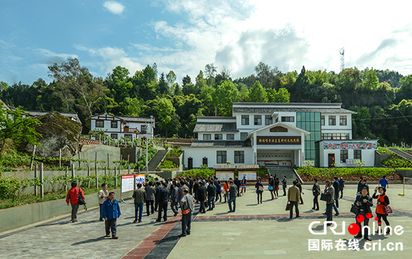 图片默认标题_fororder_01各地游客和党政团体在鹦鸽嘴村参观考察
