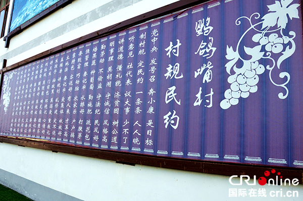 图片默认标题_fororder_08村规民约