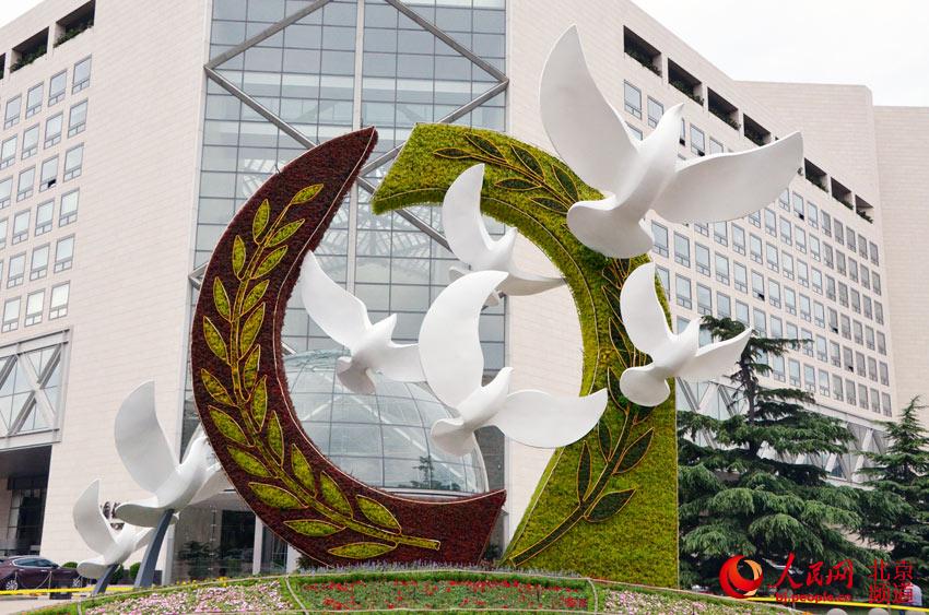 京城千万株花卉扮靓中非合作论坛北京峰会 京城千万株花卉扮靓中非合作论坛北京峰会