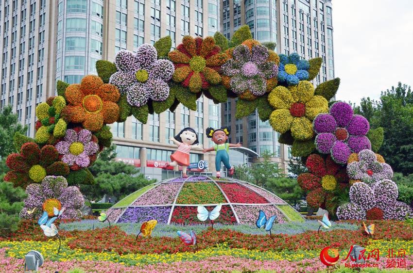 京城千万株花卉扮靓中非合作论坛北京峰会 京城千万株花卉扮靓中非合作论坛北京峰会
